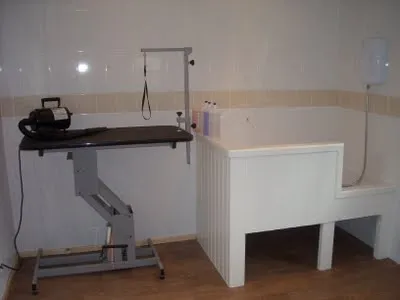 Photo of the inside of our parlor showing the clipping table and dryer